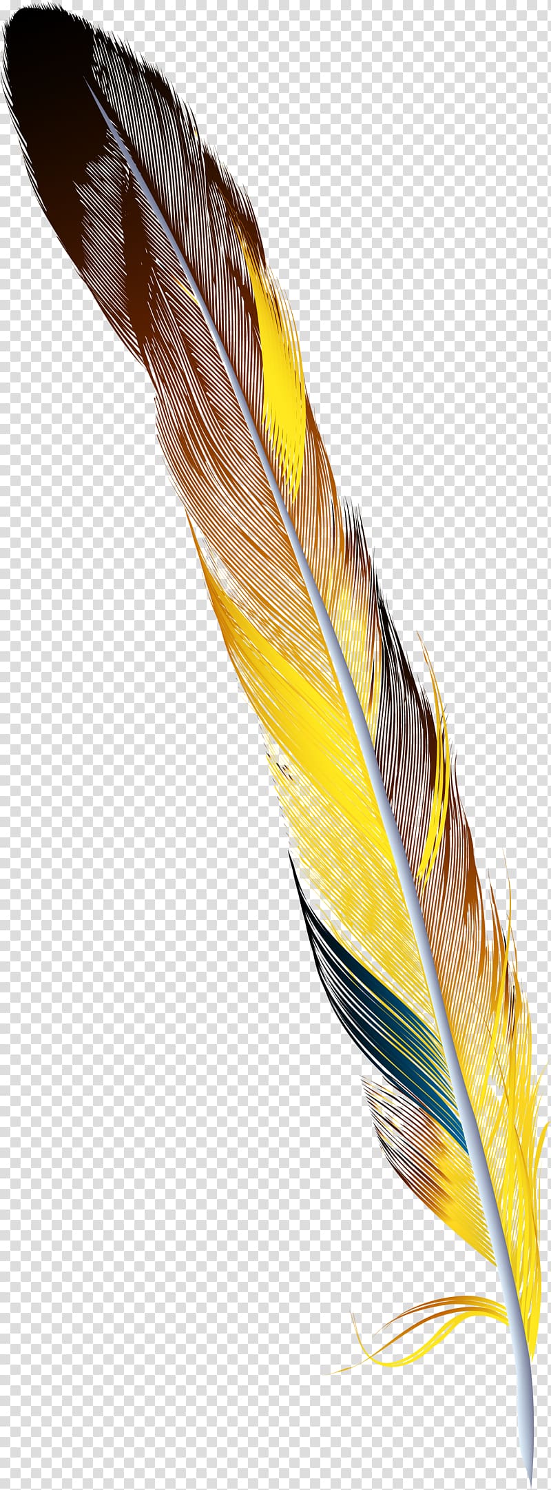Feather Drawing, Hand painted colorful feather transparent background PNG clipart