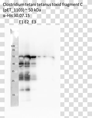 Document Line Angle, line transparent background PNG clipart thumbnail