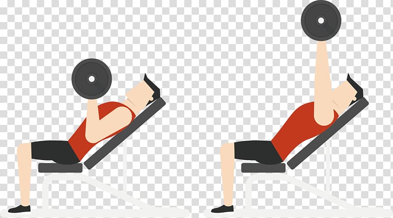Physical exercise Euclidean Physical fitness Barbell Bench press, Recommend barbell movement transparent background PNG clipart
