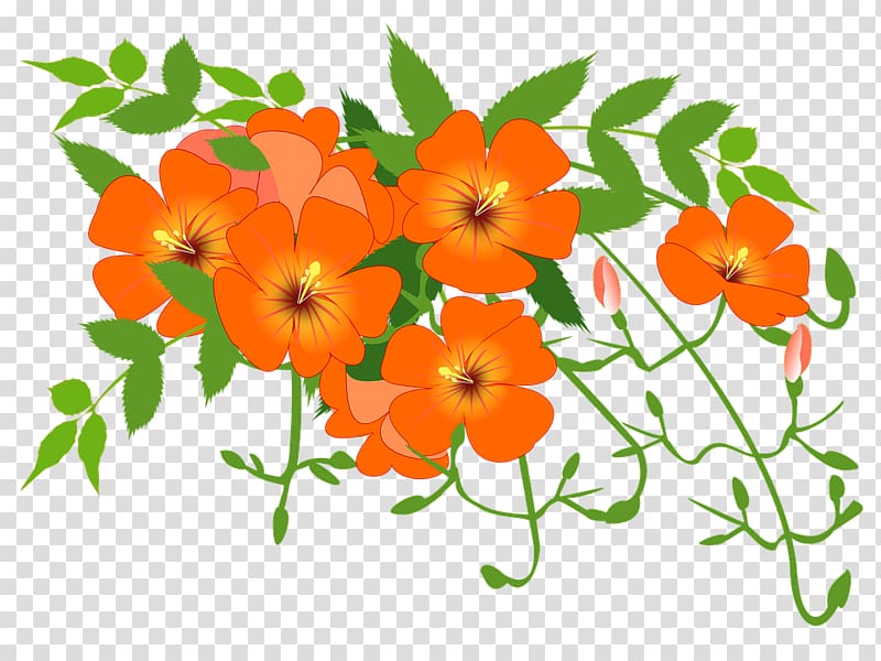 Floral design Trumpet vine Campsis grandiflora Flower, flower transparent background PNG clipart