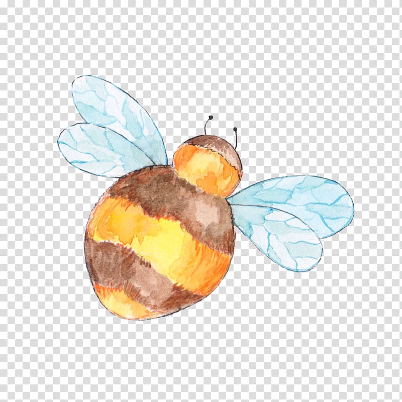 Drawing Maya Apidae, bee transparent background PNG clipart