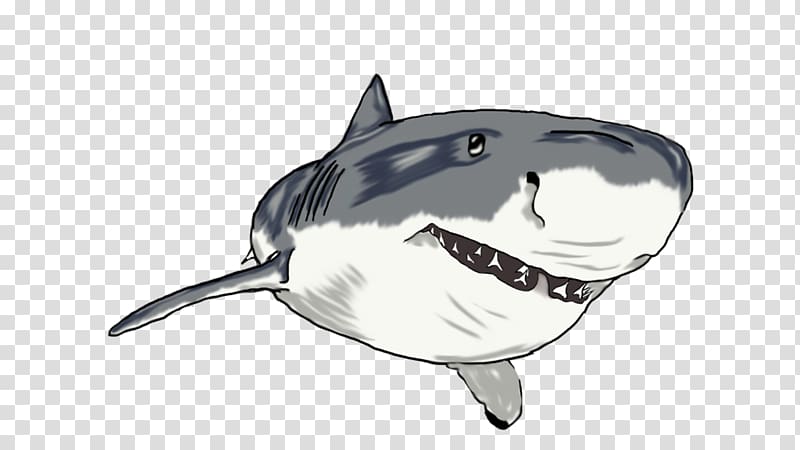 Shark Marine mammal, shark transparent background PNG clipart