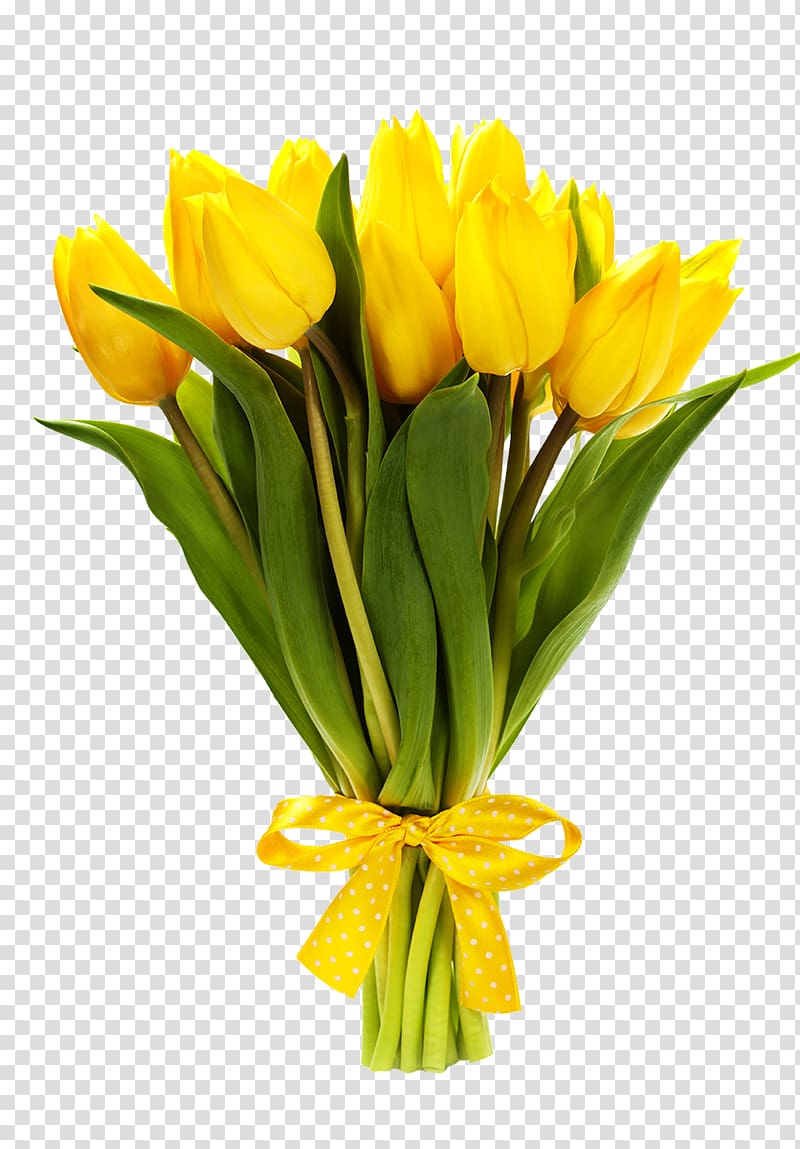 Flower bouquet Tulip , tulip transparent background PNG clipart