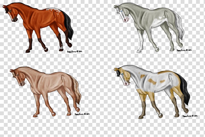 Mane Mustang Foal Stallion Mare, Spring Break transparent background PNG clipart