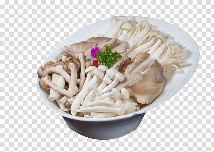 Chinese cuisine Ingredient Oyster Mushroom, More mushroom fight transparent background PNG clipart