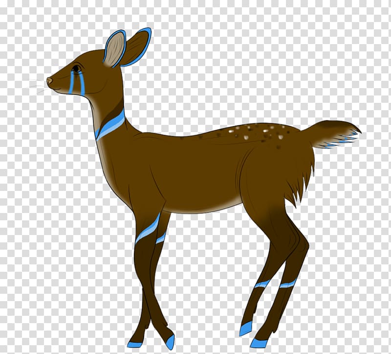 Antelope Reindeer Impala Goat, fawn transparent background PNG clipart