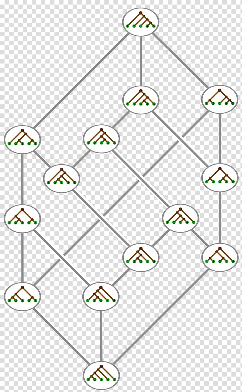 Associahedron Catalan number Tamari lattice Binary tree Hasse diagram, tree transparent background PNG clipart