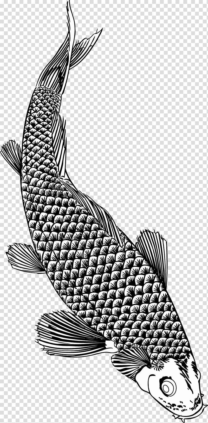 Fish Brush Monochrome Seafood, koi transparent background PNG clipart