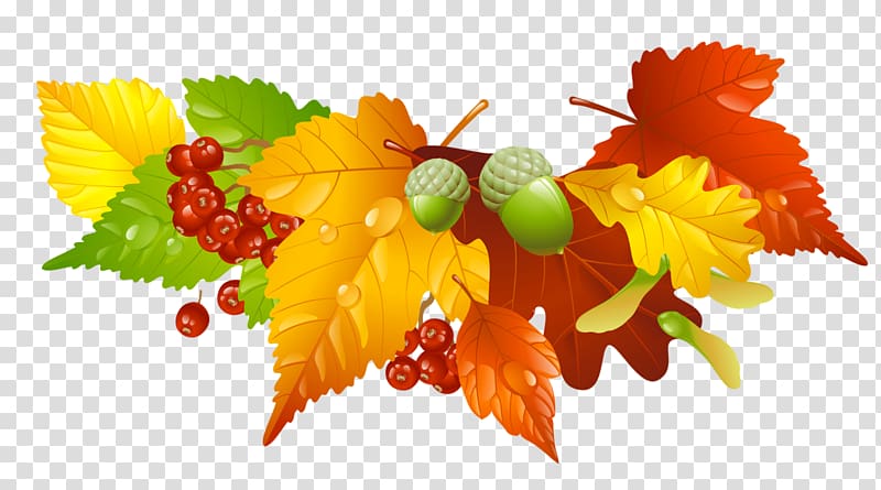Autumn leaf color , Autumn Leaves and Acorns Decor , red and brown leaf illustration transparent background PNG clipart