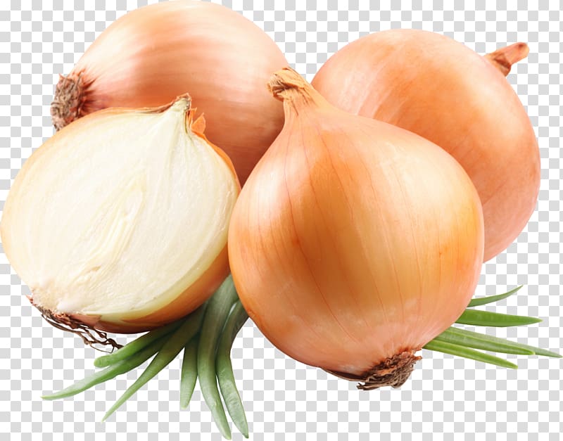 Red onion Yellow onion White onion French onion soup, onions transparent background PNG clipart