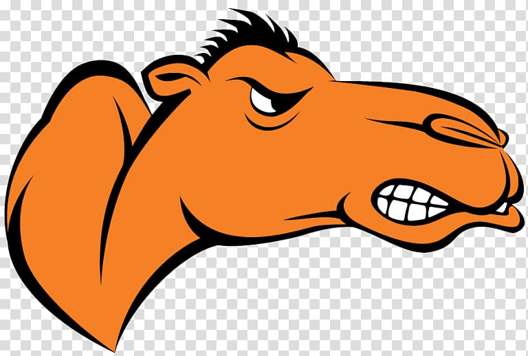 Campbell University Campbell Fighting Camels women's basketball Campbell Fighting Camels men's basketball Campbell Fighting Camels football Division I (NCAA), others transparent background PNG clipart