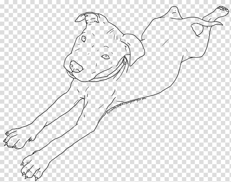 American Pit Bull Terrier Puppy Drawing Line art, pitbull transparent background PNG clipart
