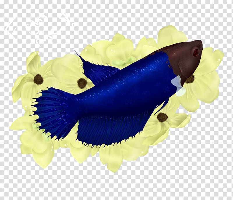 Marine mammal Marine biology Cobalt blue Electric blue Organism, betta transparent background PNG clipart