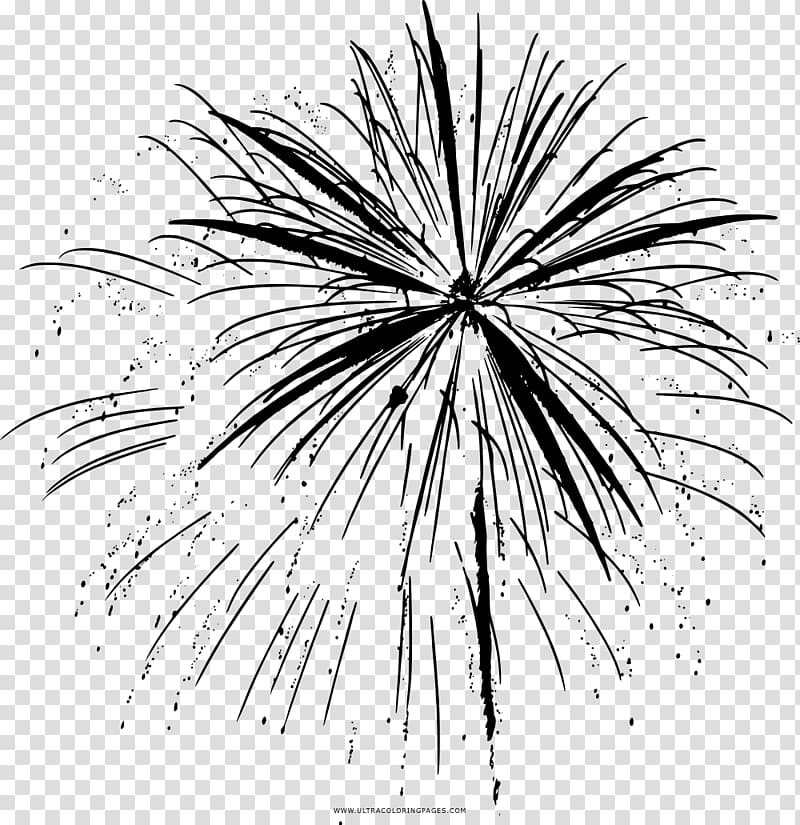 Coloring book Black and white Drawing, fireworks transparent background PNG clipart