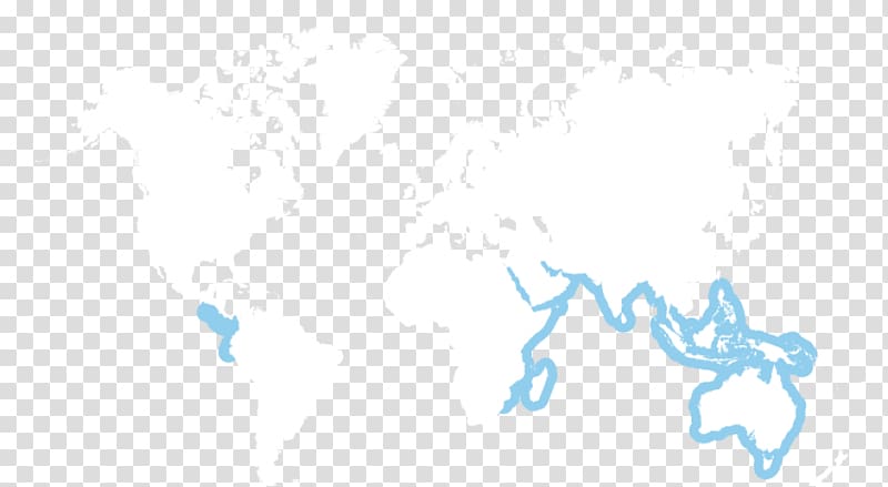 World Logo Desktop , world map transparent background PNG clipart