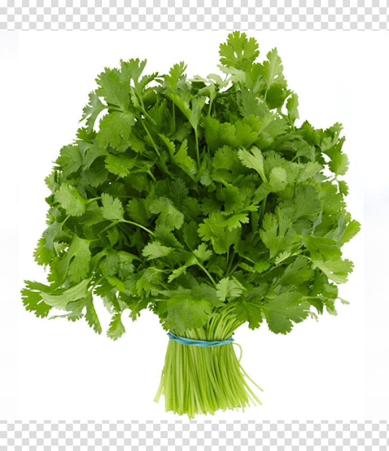Folate deficiency Food Leaf vegetable, vegetable transparent background PNG clipart