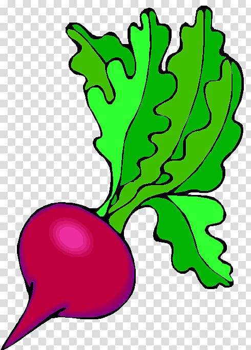 Beetroot Salad Root Vegetables Drawing , Buah buahan transparent background PNG clipart