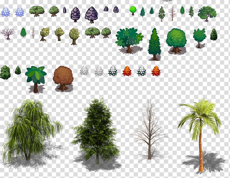 Ecosystem Conifers Tree Evergreen Biome, sprite transparent background PNG clipart