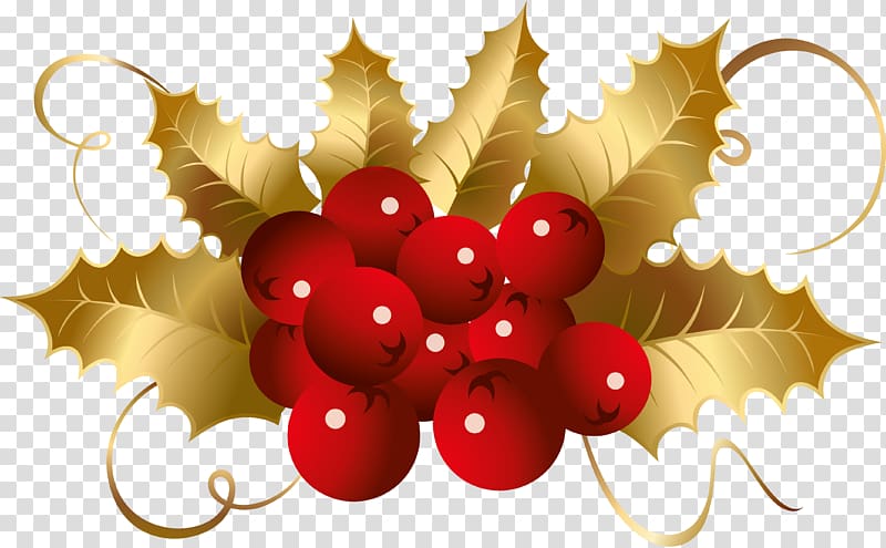 , christmas holly illustration material transparent background PNG clipart