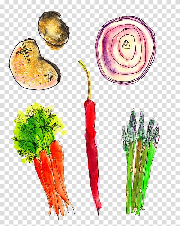 Natural foods Diet food Superfood Local food, Vegetable sketch transparent background PNG clipart