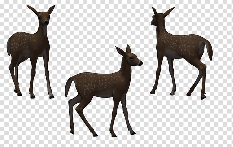 Deer Wildlife Illustration, Maca through painted horse transparent background PNG clipart