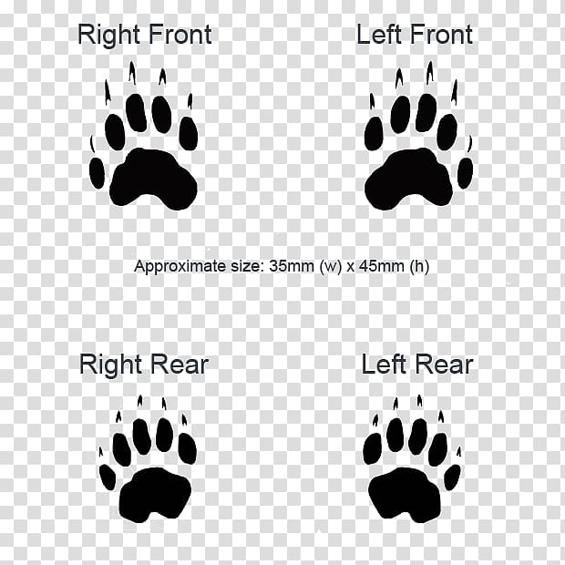 European badger Animal track Paw, king of animals transparent background PNG clipart