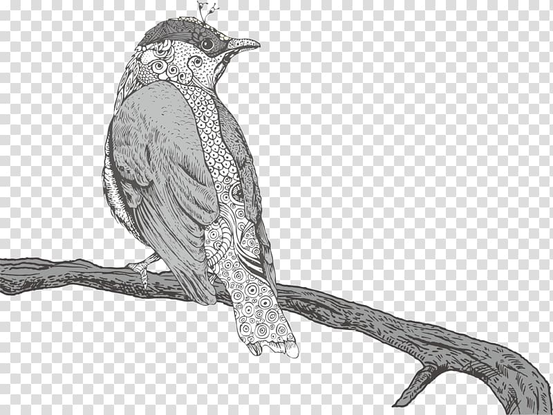 Drawing Illustration, bird transparent background PNG clipart