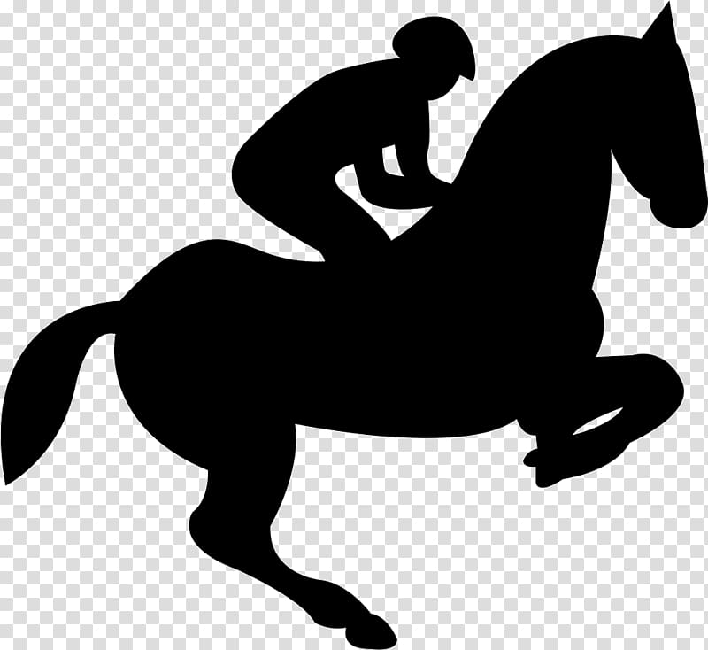 Teach Your Horse to Jump Show jumping Equestrian, horse transparent background PNG clipart