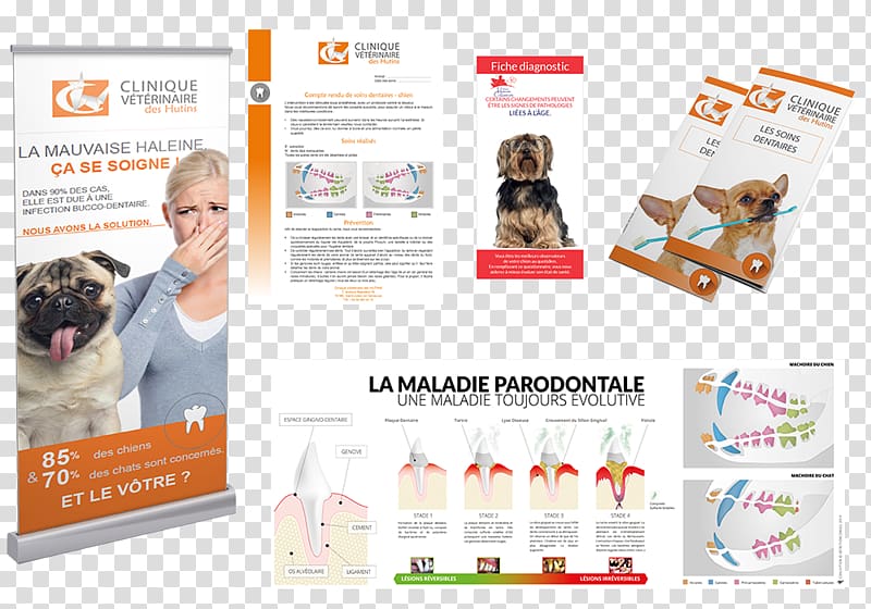 Service Vetaction Conseil Income Advertising Brochure, outil transparent background PNG clipart