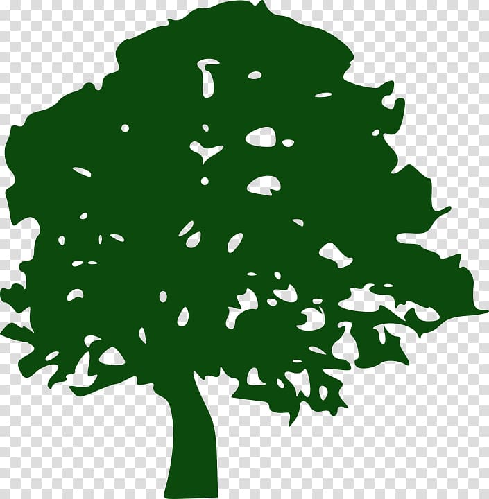 Tree White oak , tree transparent background PNG clipart