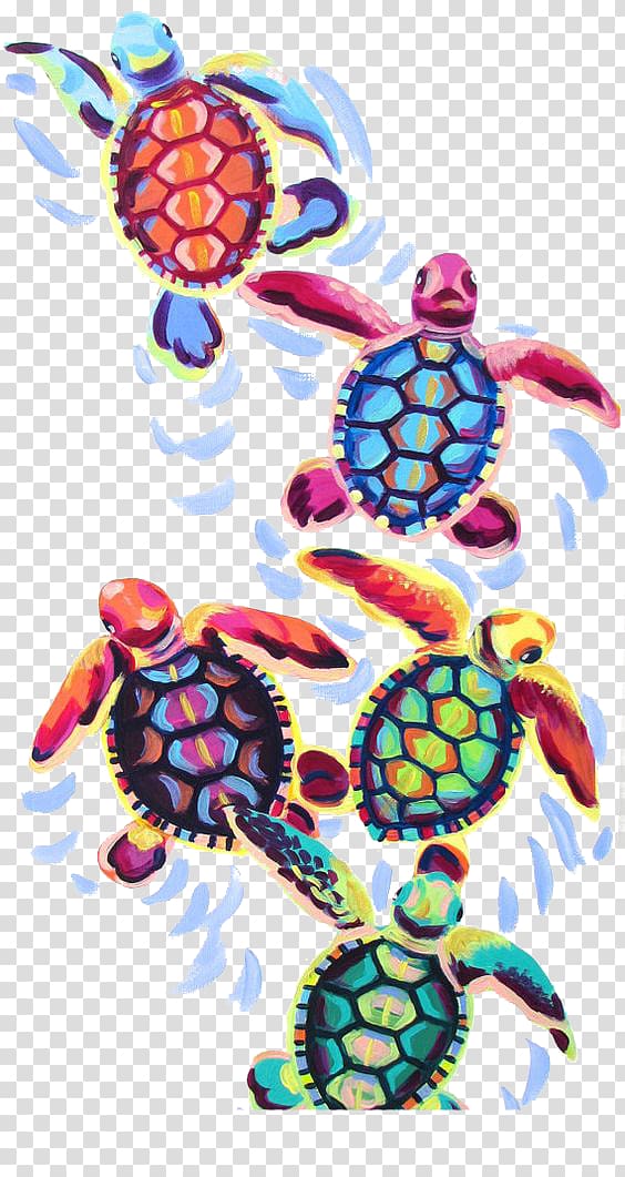 painted turtle transparent background PNG clipart