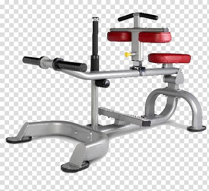 Bench Exercise equipment Fitness Centre Physical fitness Calf raises, others transparent background PNG clipart