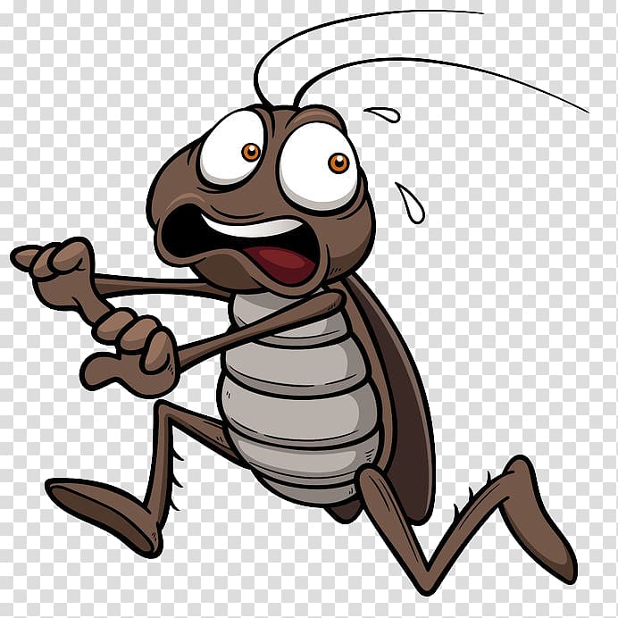 Cockroach Cartoon , Escape the cockroach transparent background PNG clipart