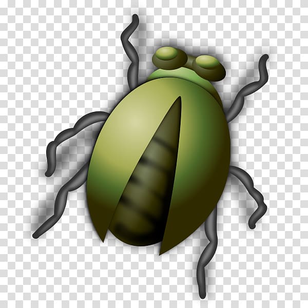 Insect , Bug transparent background PNG clipart