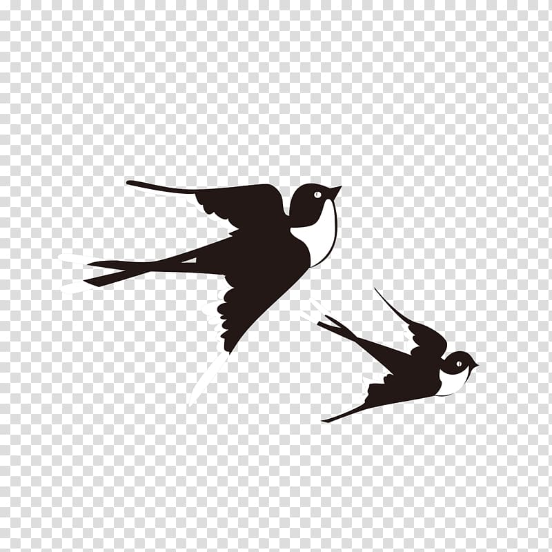 Swallow Bird Lichun, Swallows fly transparent background PNG clipart