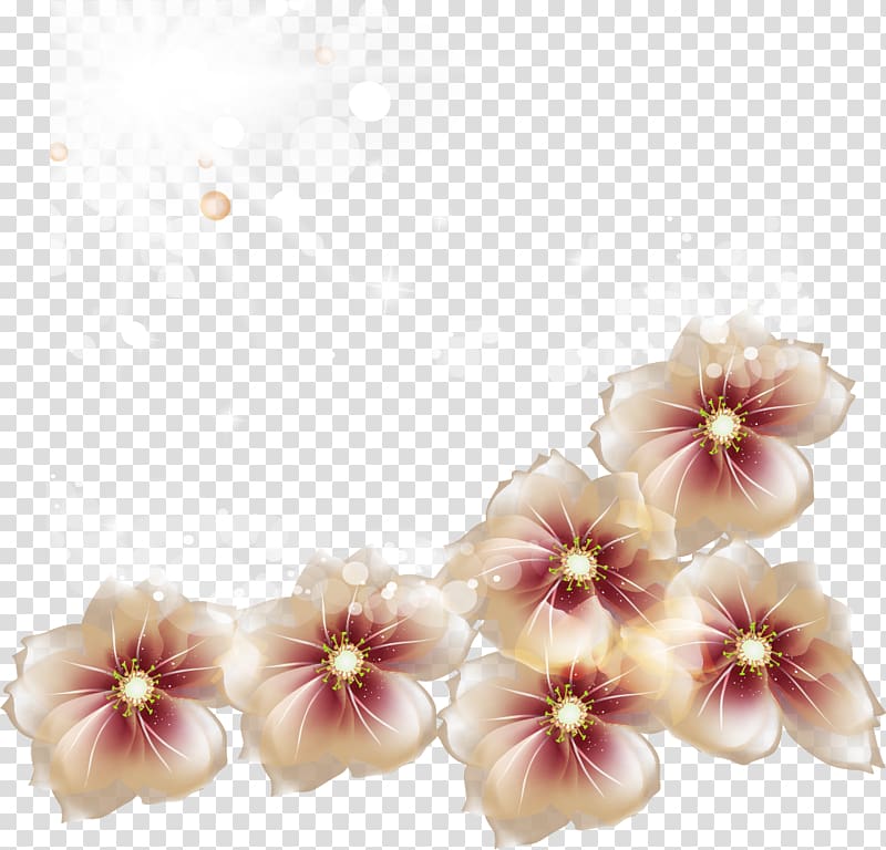 Cut flowers , florel transparent background PNG clipart
