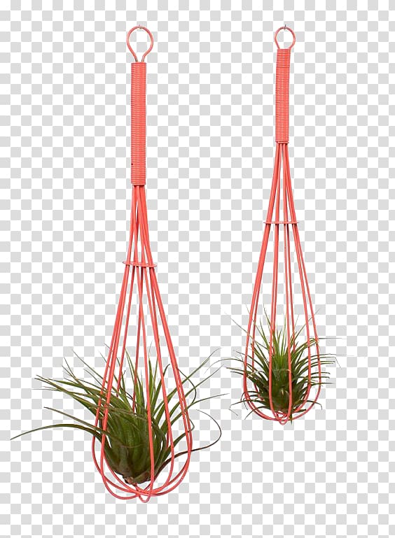 Chlorophytum comosum Tillandsia Ornamental plant Terrarium, Pink flower pots transparent background PNG clipart