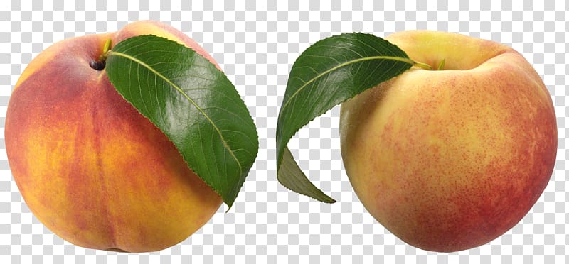 Nectarine Saturn Peach , others transparent background PNG clipart