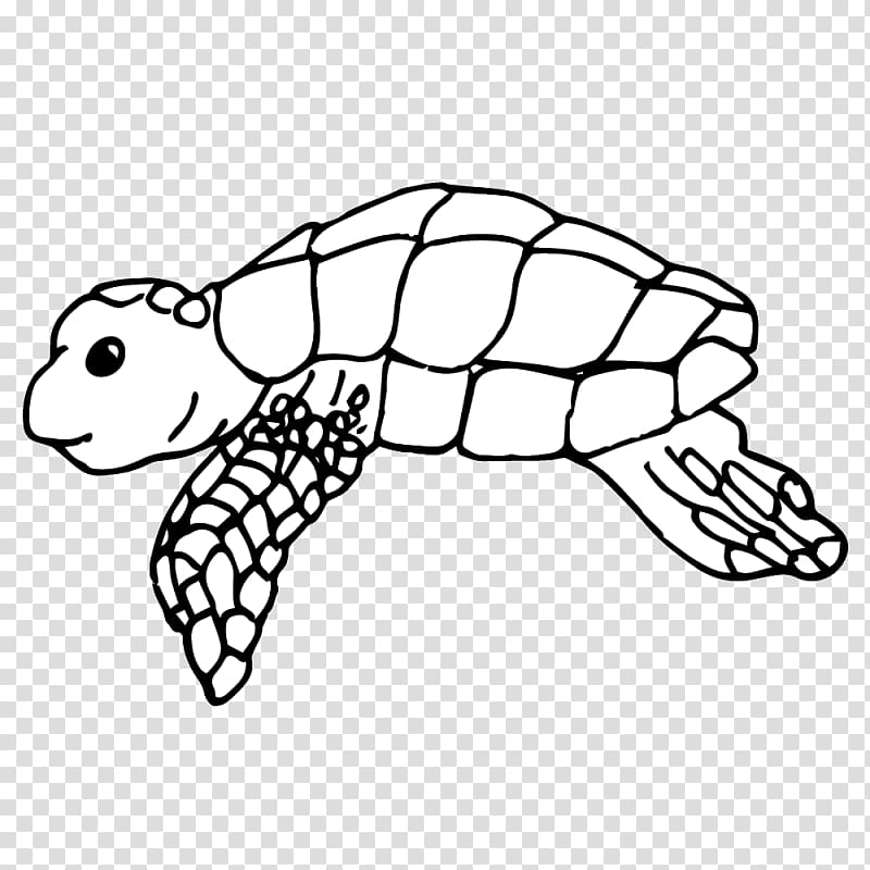 Leatherback sea turtle Open , turtle transparent background PNG clipart