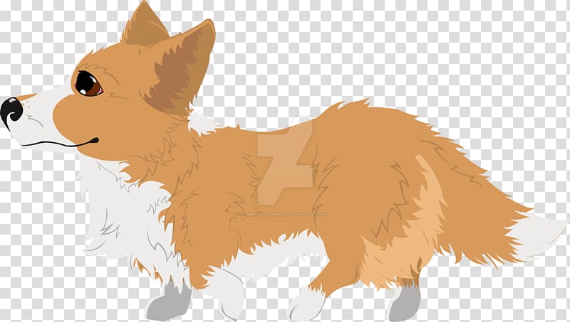 Pembroke Welsh Corgi Dog breed Puppy Red fox, puppy transparent background PNG clipart