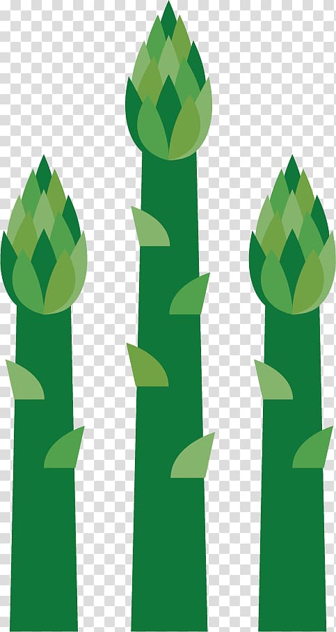 Veggie burger Vegetable Bamboo shoot, green bamboo shoots vegetable material transparent background PNG clipart