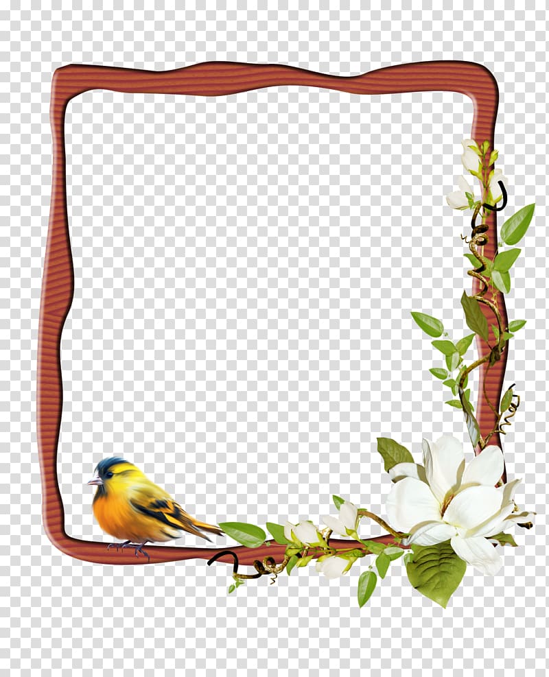 Frames , shop transparent background PNG clipart