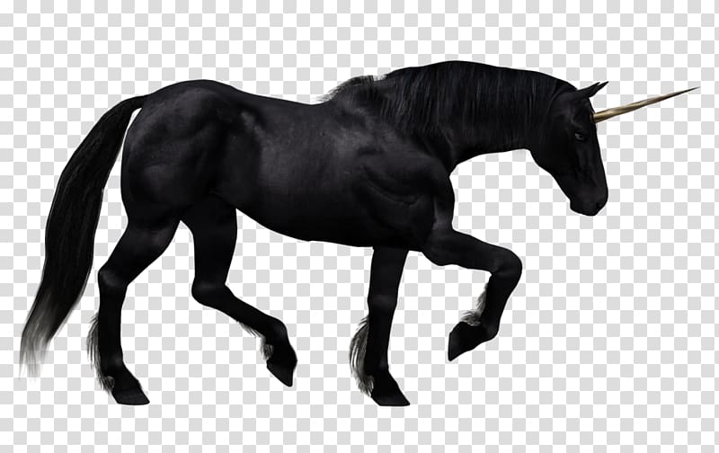 The Black Unicorn Pegasus Horse, Unicorn transparent background PNG clipart