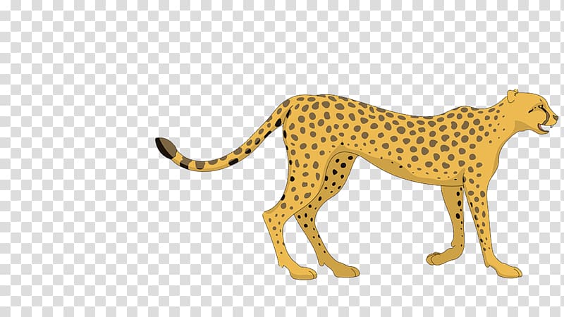 Cheetah Cartoon Leopard , leopard transparent background PNG clipart
