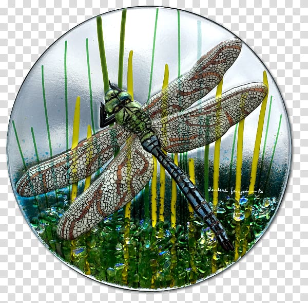 Fused glass Insect Dragonfly Kiln, hand painted transparent background PNG clipart