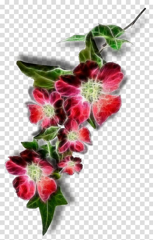 Floral design Cut flowers GIF Desktop , Arabic words transparent background PNG clipart