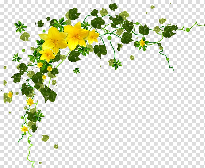 Flower Yellow Petal , gazania transparent background PNG clipart