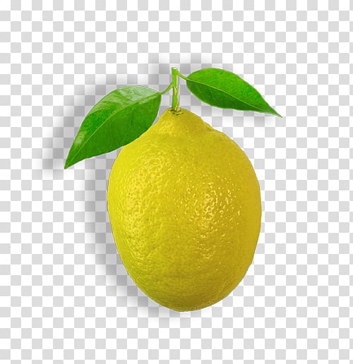 Persian lime Sweet lemon Key lime Citron, lemon transparent background PNG clipart