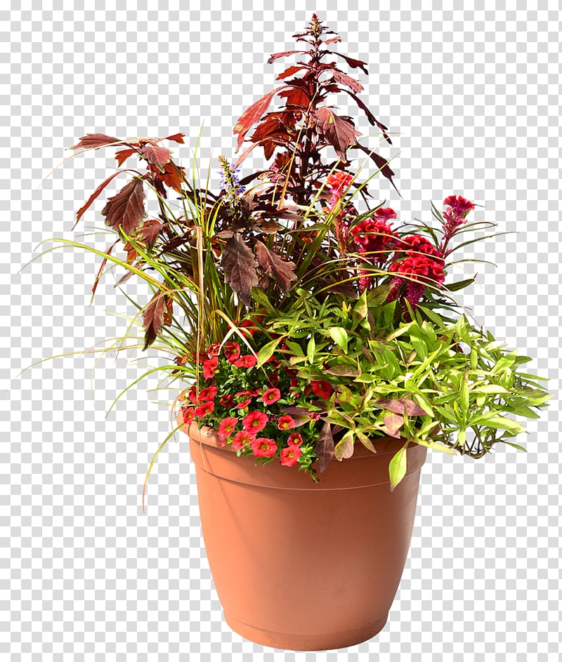 Plant Flowerpot Flower box Homestead Gardens, hanging flower transparent background PNG clipart