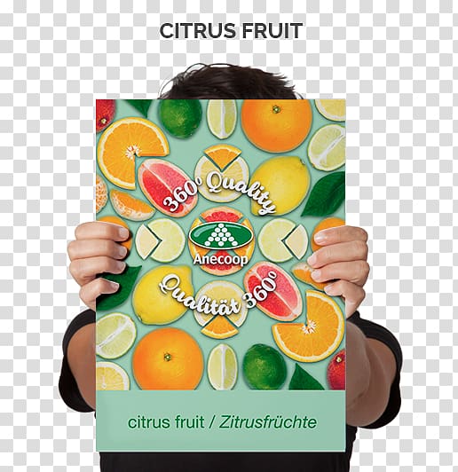 Poster Paper Advertising Printing, Citrus Fruits transparent background PNG clipart